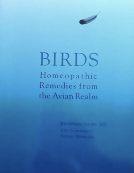 Birds, Homeopathic Rememdies From The Avian Realm
